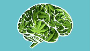 Effects of Cannabinoids on brain