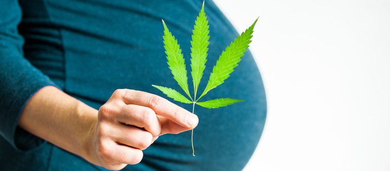 Effects of Cannabis within Pregnancy